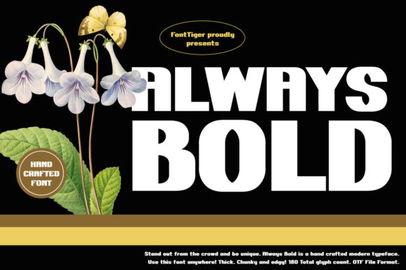 Always Bold: The Display Font That Turns Campaigns Into Visual Statements