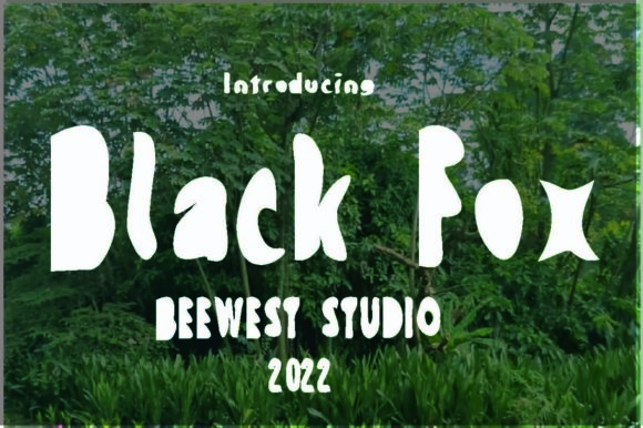 Black Fox: How a Bold Display Font Transformed Our Campaign Visuals
