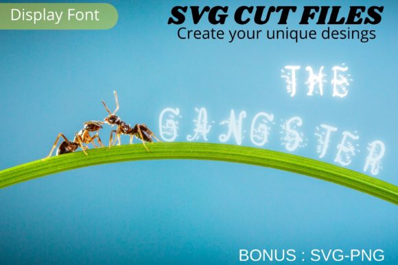 The Gangster: A Bold Move for High-Impact Design